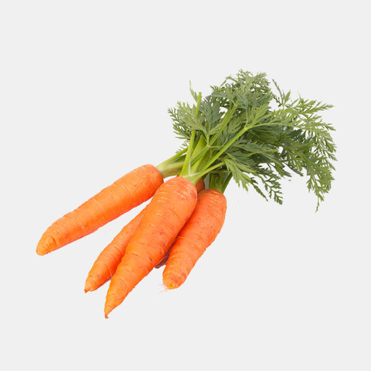 Carrot