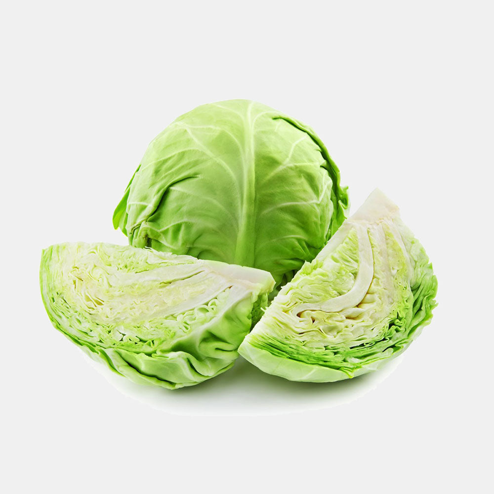 Cabbage