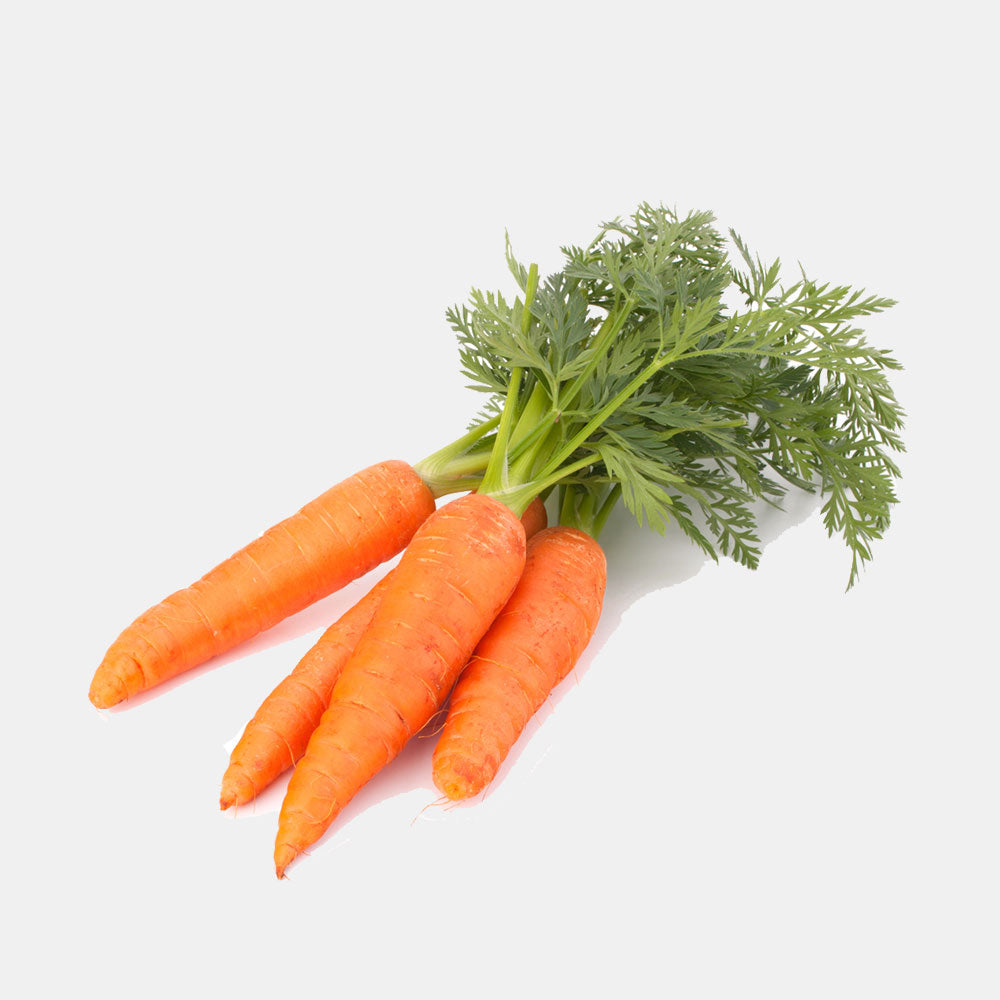 Carrot