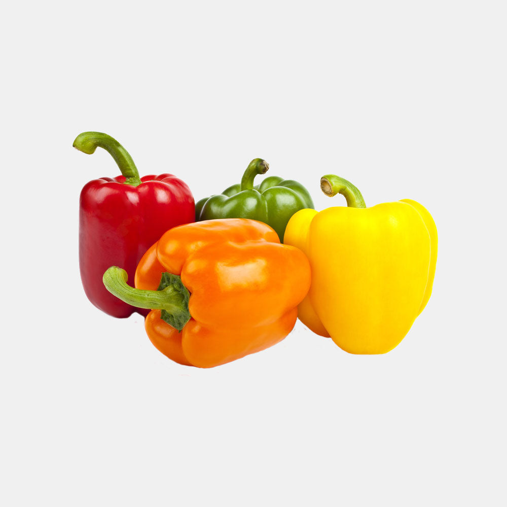 Bell Pepper